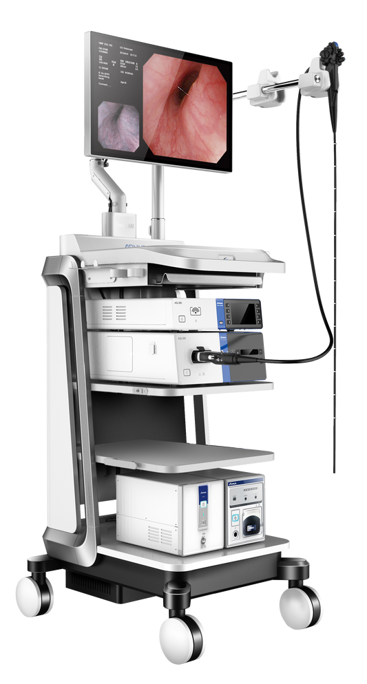 DLAQ200 elite 2K flexible endoscope